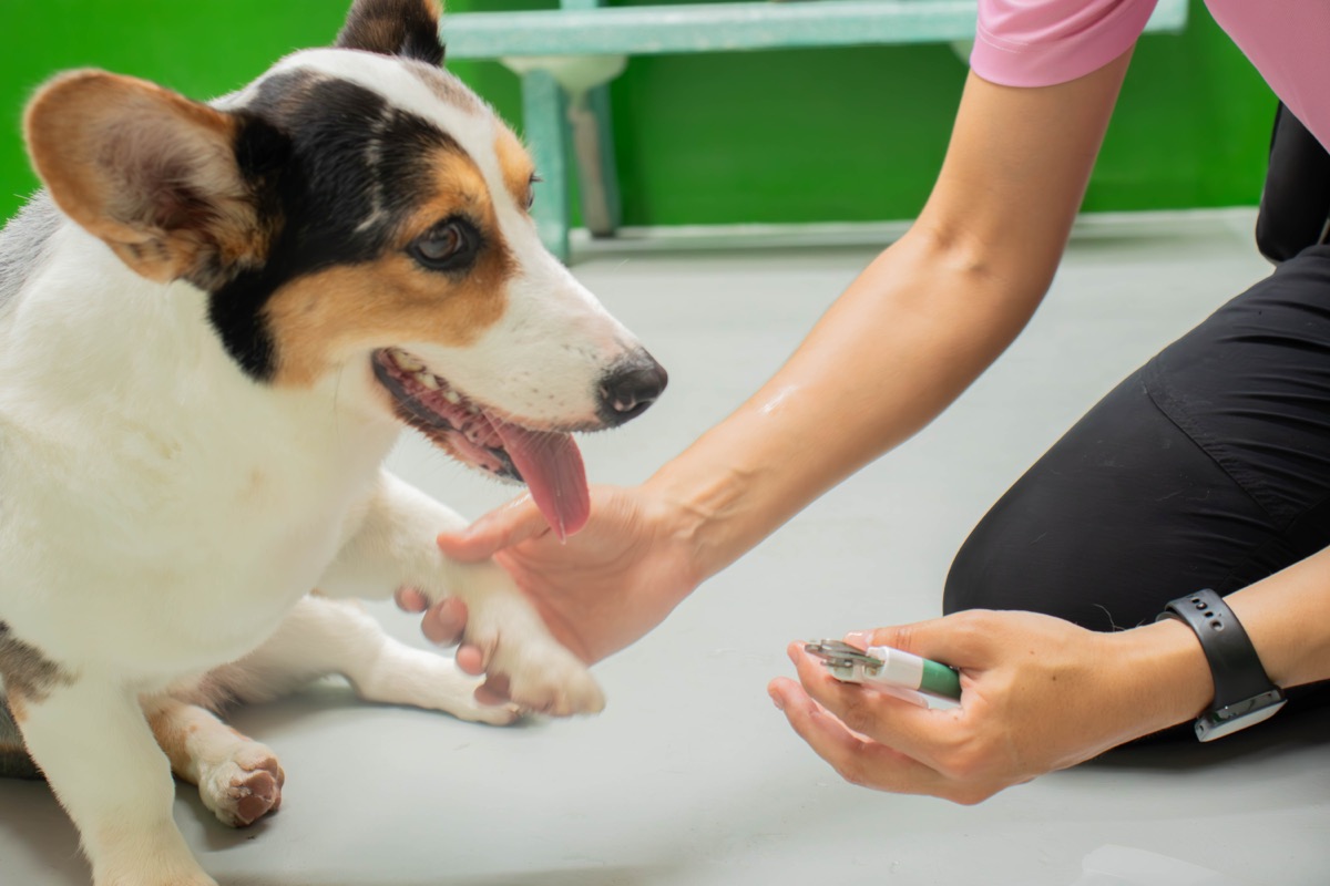 Cooperative care
