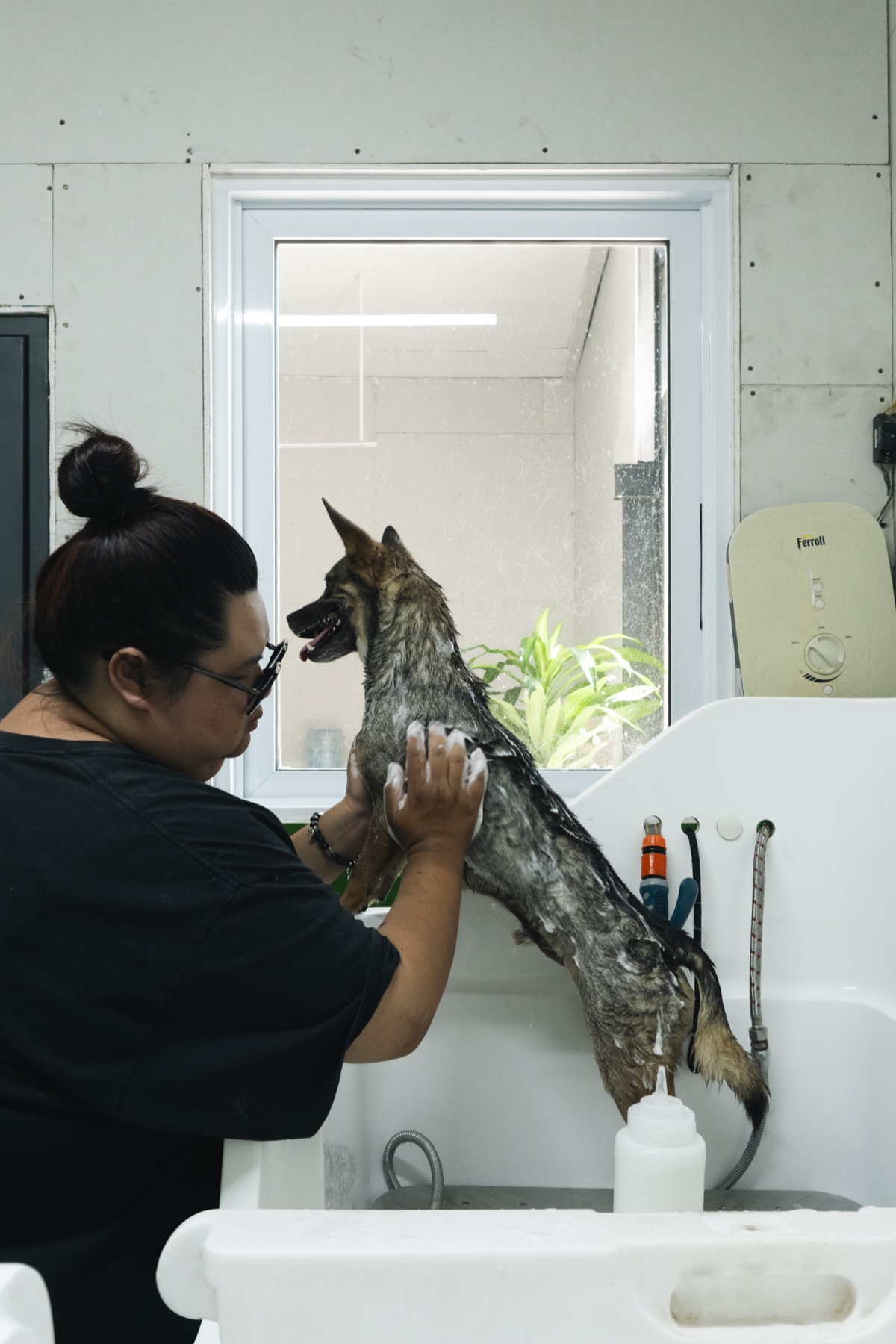 A dog being groomed in our spa